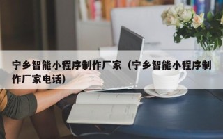 河源宁乡智能小程序制作厂家（宁乡智能小程序制作厂家电话）